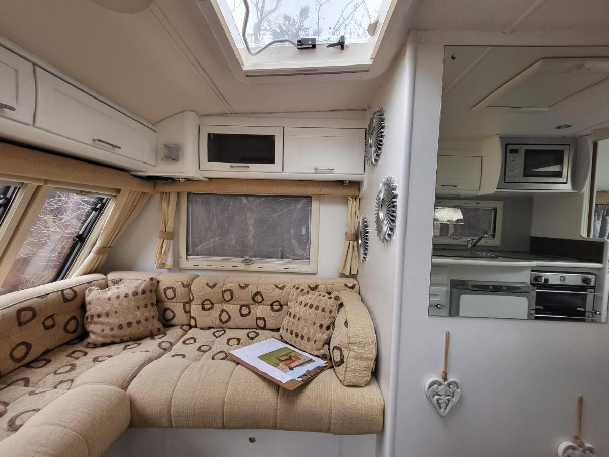 Alojamento de Turismo Rural Glamping With Llamas *