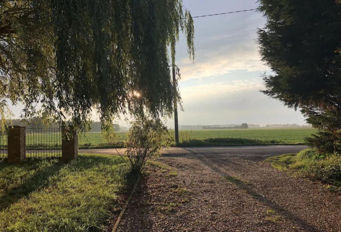 Glamping With Llamas * Wisbech
